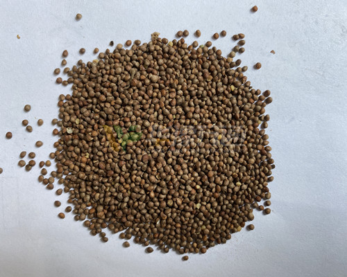 紫蘇籽脫殼成套設備