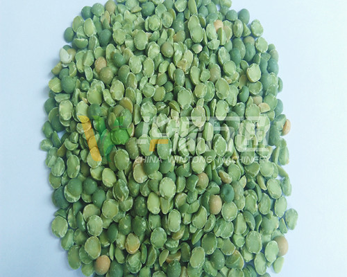 <a href=http://m.bjzgmy.com/product/8/ target=_blank class=infotextkey>豌豆脫皮機(jī)</a>