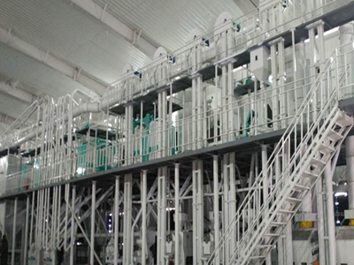 埃塞俄比亞40噸兵豆成套項目